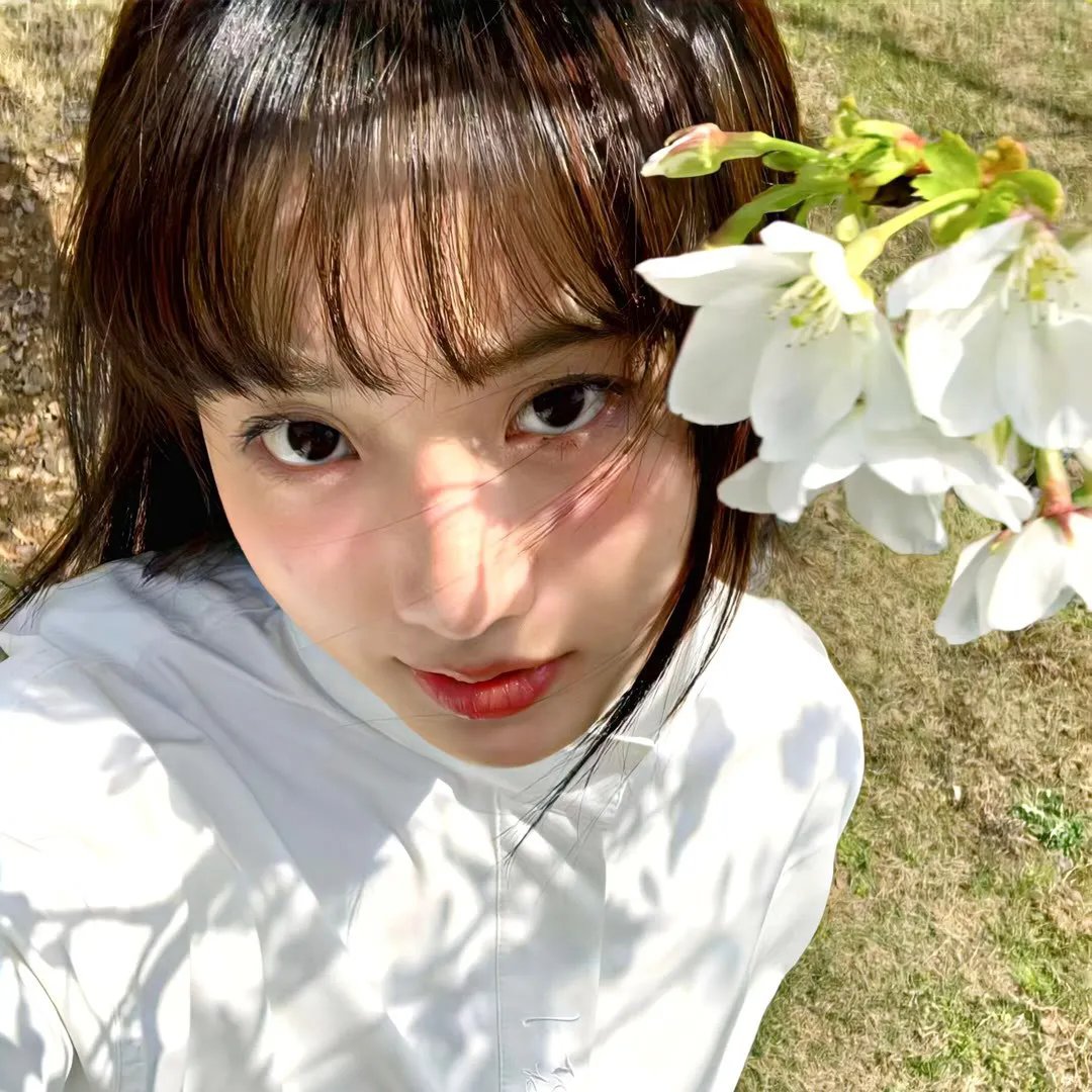 黑道比酷 在线观看